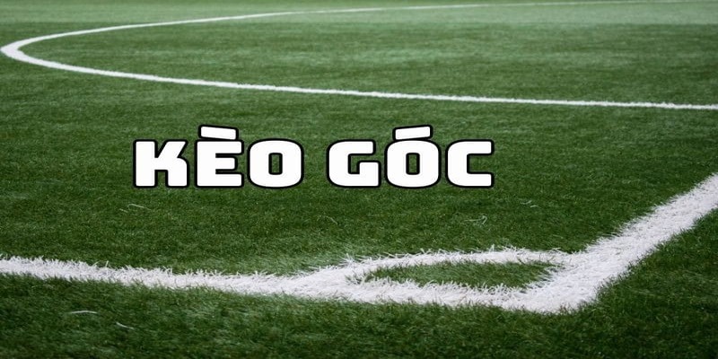 Cách chơi trăm trận trăm thắng của cao thủ