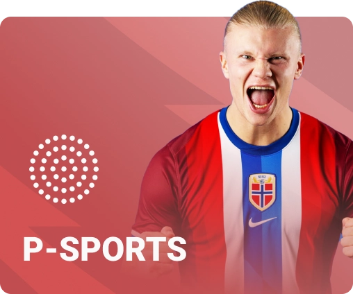 P SPORTS SKY88